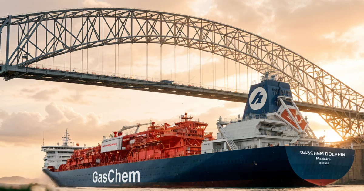 Gaschem Dolphin